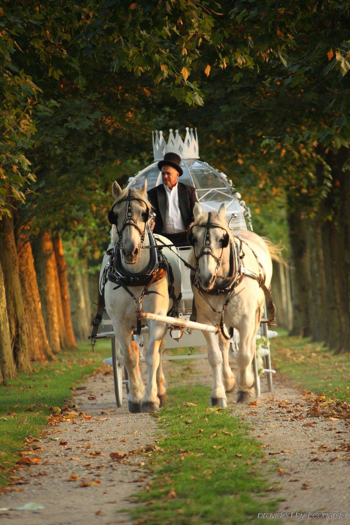 Oheka Castle Hotel & Estate Huntington Εξωτερικό φωτογραφία
