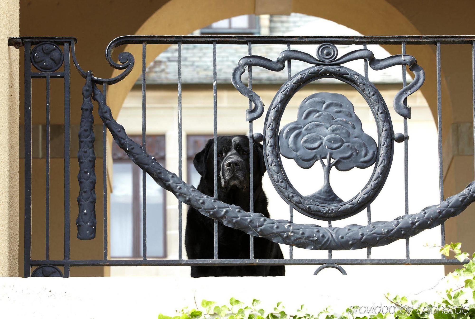 Oheka Castle Hotel & Estate Huntington Εξωτερικό φωτογραφία